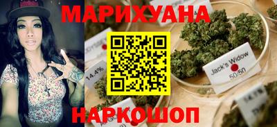 амф Гусев