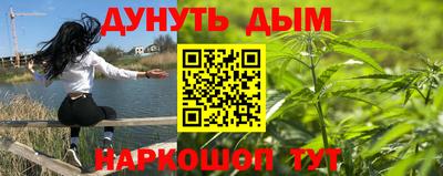 тгк Гатчина